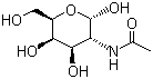 n acetyl d galactosamine