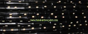 Bamboo Cane Pole With Black Painting And Natural Spot Art Parttern