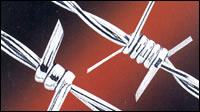 Barbed Wire And Galvanized Barbed Wire