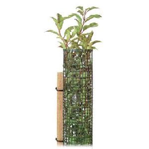 Tree Protector, Plant Protector And Support With Stake