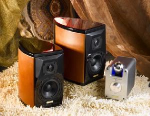 Handmade High Quality Hi-fi Vacuum Tube Speaker System, Vacuum Tube Amplifier