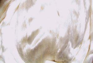 bamboo fiber