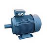 ac motor y2 phase induction