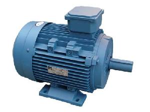 electric motor y3 phase induction