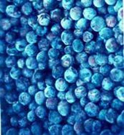 blueberry anthocyanin