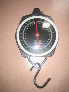 clock scale 200kg