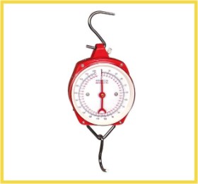 Fishing Scale 200kg-250kg Ocs-102 Hook Scale