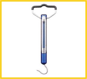 Fishing Scale, Fishing Tools Weighing Tools 11kg 22kg Big Spring