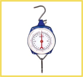 mechanical fishing scale 200kg iron cover hook handle