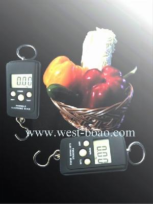 portable electronic family scale 50kg 20g