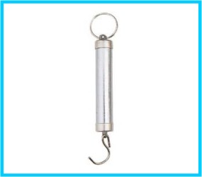 spring scale 2 5kg stainless steel