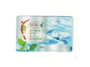 Print High-class Full Color Plastic Card