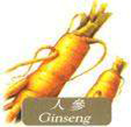 ginseng extract