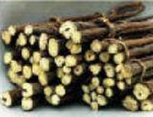 Licorice Extract