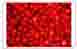 lingonberry extract