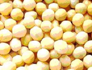 Soybean Isoflavones P.e.