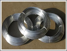 Supply Galvanized Iron Wire