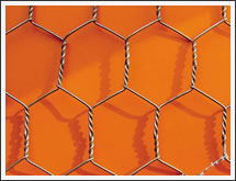 hexagonal wire mesh netting