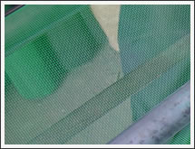 Supply Plastic Insect Screening