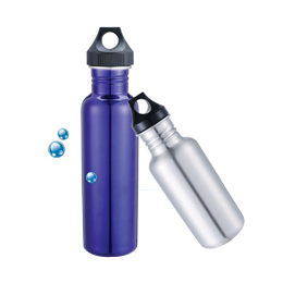 Stainless Steel Sport Bottle