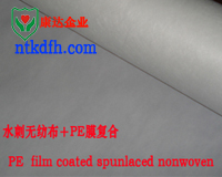 Airlaid Paper Coated With Nonwvoen Fabric