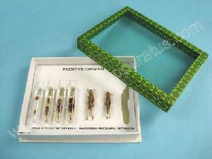 Sell The Life Cycle Of A Locust Collection Of Preserved Specimens B1001