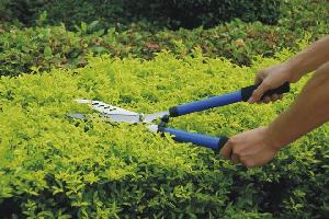 garden shear