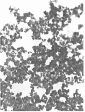 nanometer zinc oxide dispersion