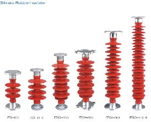 Insulator And Arrester