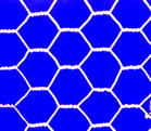 hexagonal wire mesh