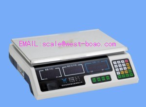 Electronic Pricing Scales 24keys Platfrom Size 35 23cm Capacity 15kg / 5g