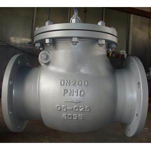 din swing check valve f1 f6