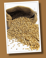 raw sesame seeds