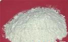 Sell Ampicillin