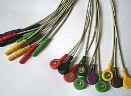 Holter Din 10 Lead Wires