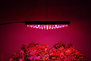 196 led panel grow light