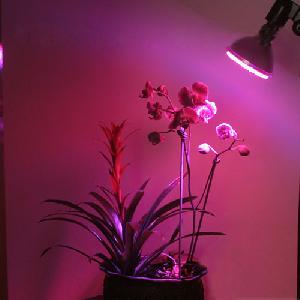 P38 Led Grow Light