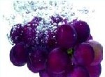 Grape Seed Extract From Plamed