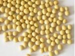 Soybean Isoflavones From Plamed