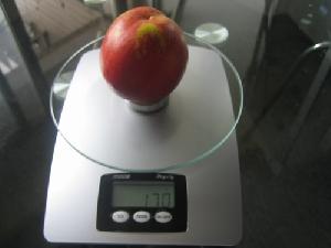 Digital Fruit Scales, Kitchen Scale, Electronic Food Scale Wbk-04 Capacity 5kg / 1g