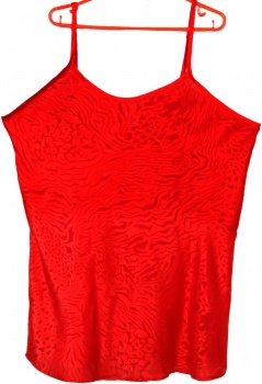 ladies polyester chemise