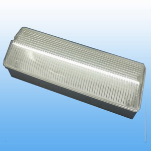 Emergency Light Lamp T5 809