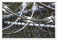 Concertina Razor Wire Mesh, Razor Barbed Wire