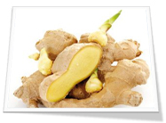 Sell Fresh Ginger