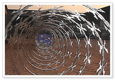 Concertina Coil Barbed Wire, Razor Babed Tape Wire For Sale
