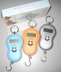 digital portable vegetable scale 5kg 2g 10kg 10g 25kg 40kg backlight