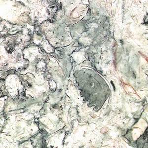 marble tile lotus green