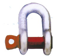 We Sell Shackle For Export