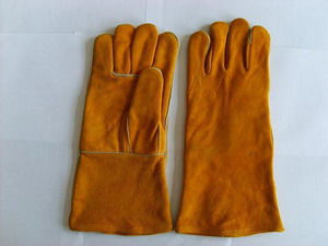 Require The Provision Of Capital / Funds To Manufacture And Marketing Of Safety Gloves