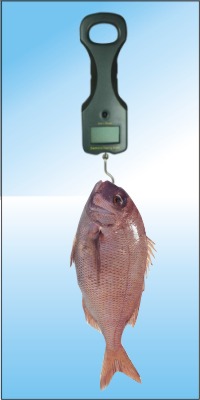 digital portable fishing scales 25kg 20g memory anf delete heaviest 9v batteries